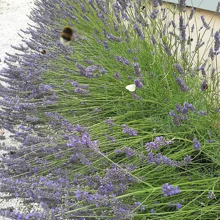 ホテル Sleep & Go! Self Service With Community Kitchen