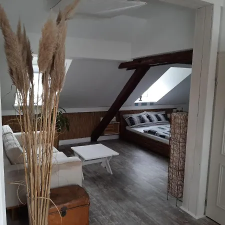 Sleep & Go! Self Service With Community Kitchen Apartment Nittel