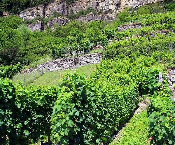 Sleep & Go! Self Service With Community Kitchen *