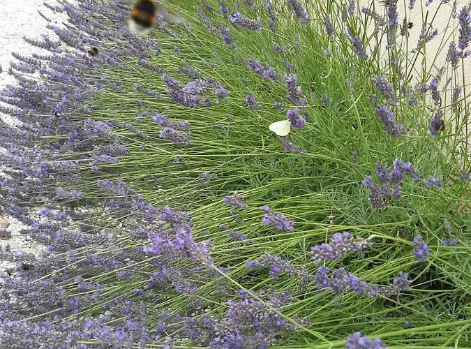 호텔 Sleep & Go! Self Service With Community Kitchen